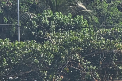 Suspeito invade escola durante perseguição policial e causa pânico em Arraial do Cabo