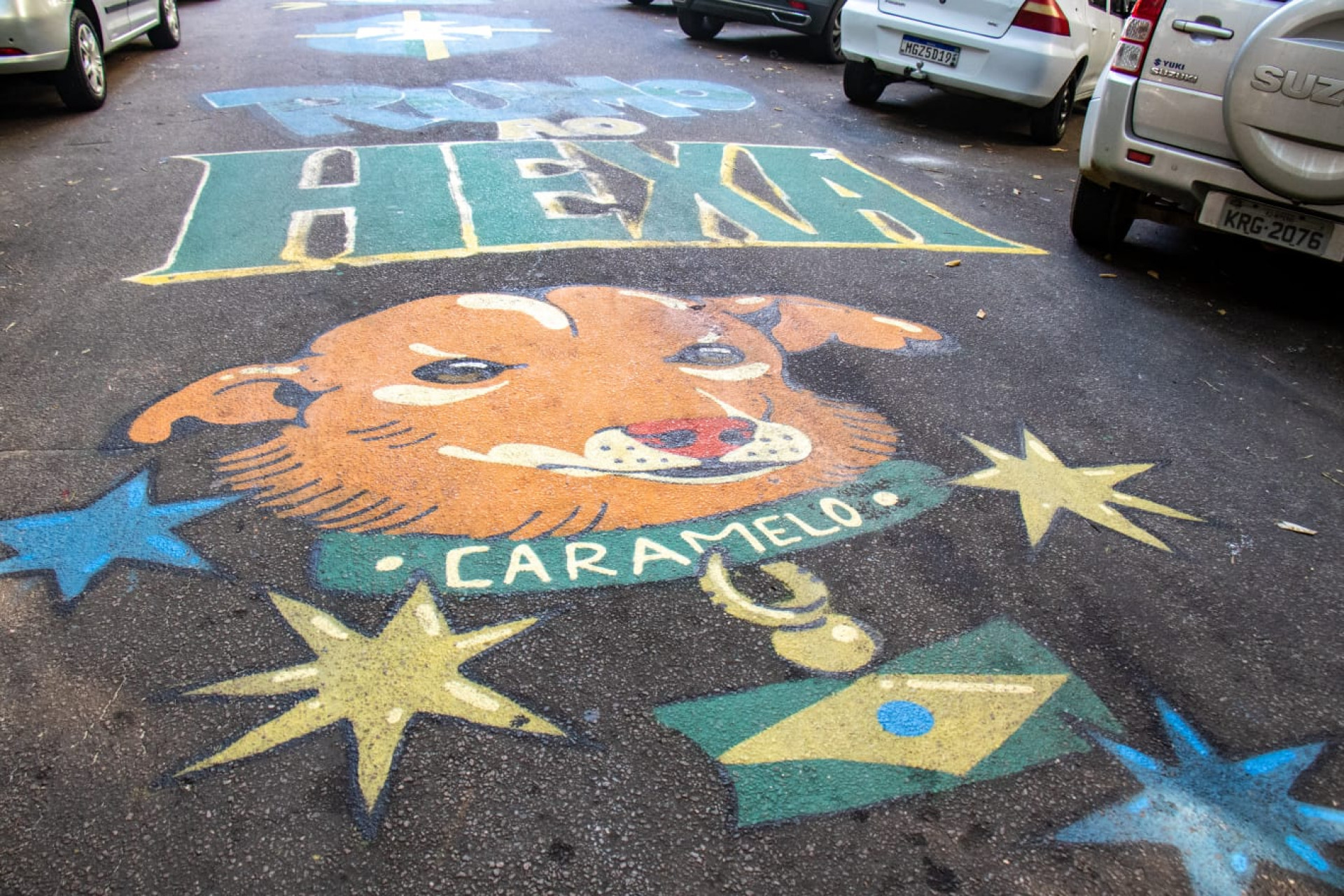 Rua General Glicério, em Laranjeiras, recebeu pintura para a Copa do Mundo - Érica Martin / Agência O Dia