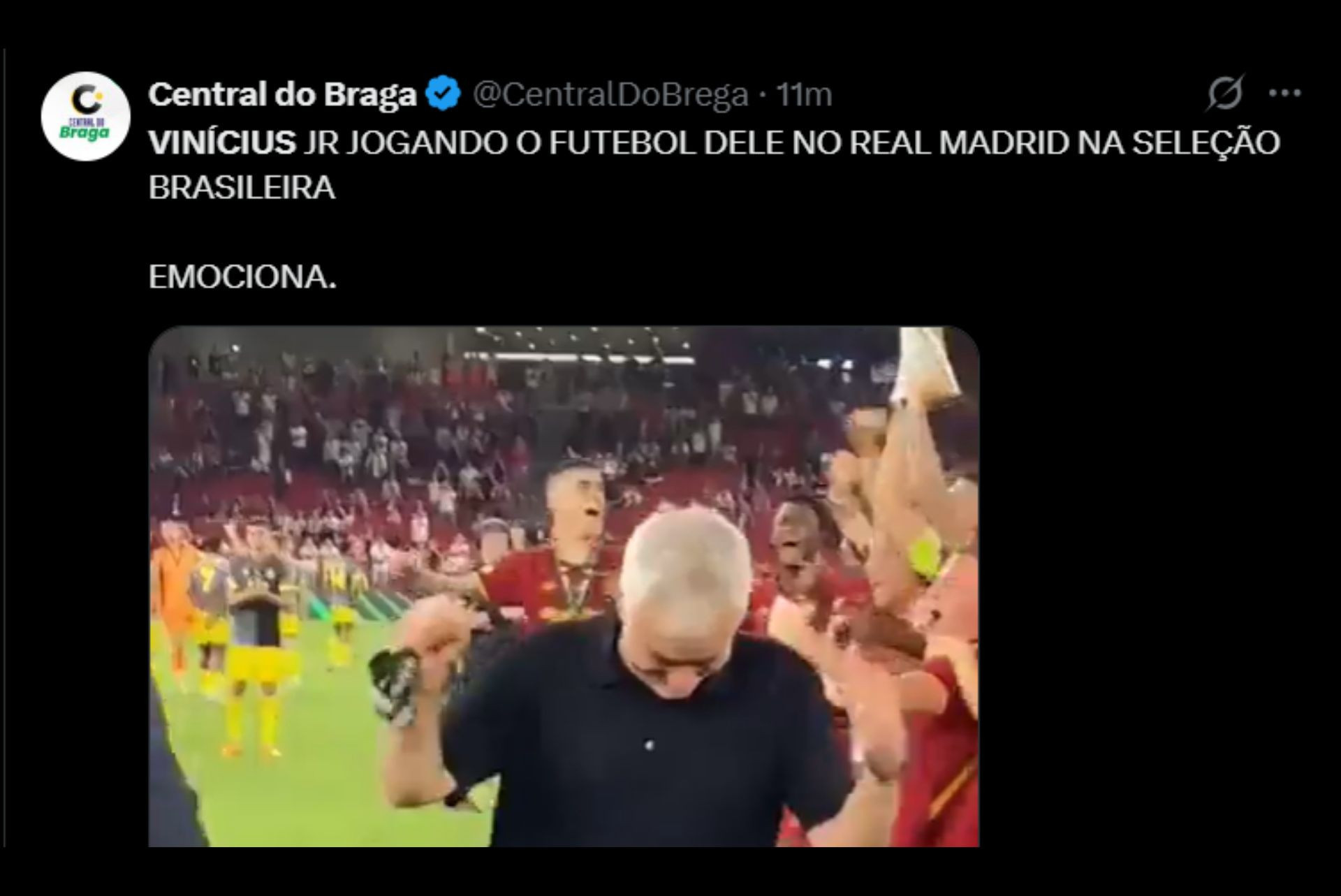 Torcedores se declaram a Vini Jr após gol na estreia - Reprodução / X