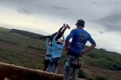 Vídeo: Mulher morre ao ser jogada de 40 metros de altura sem cordas