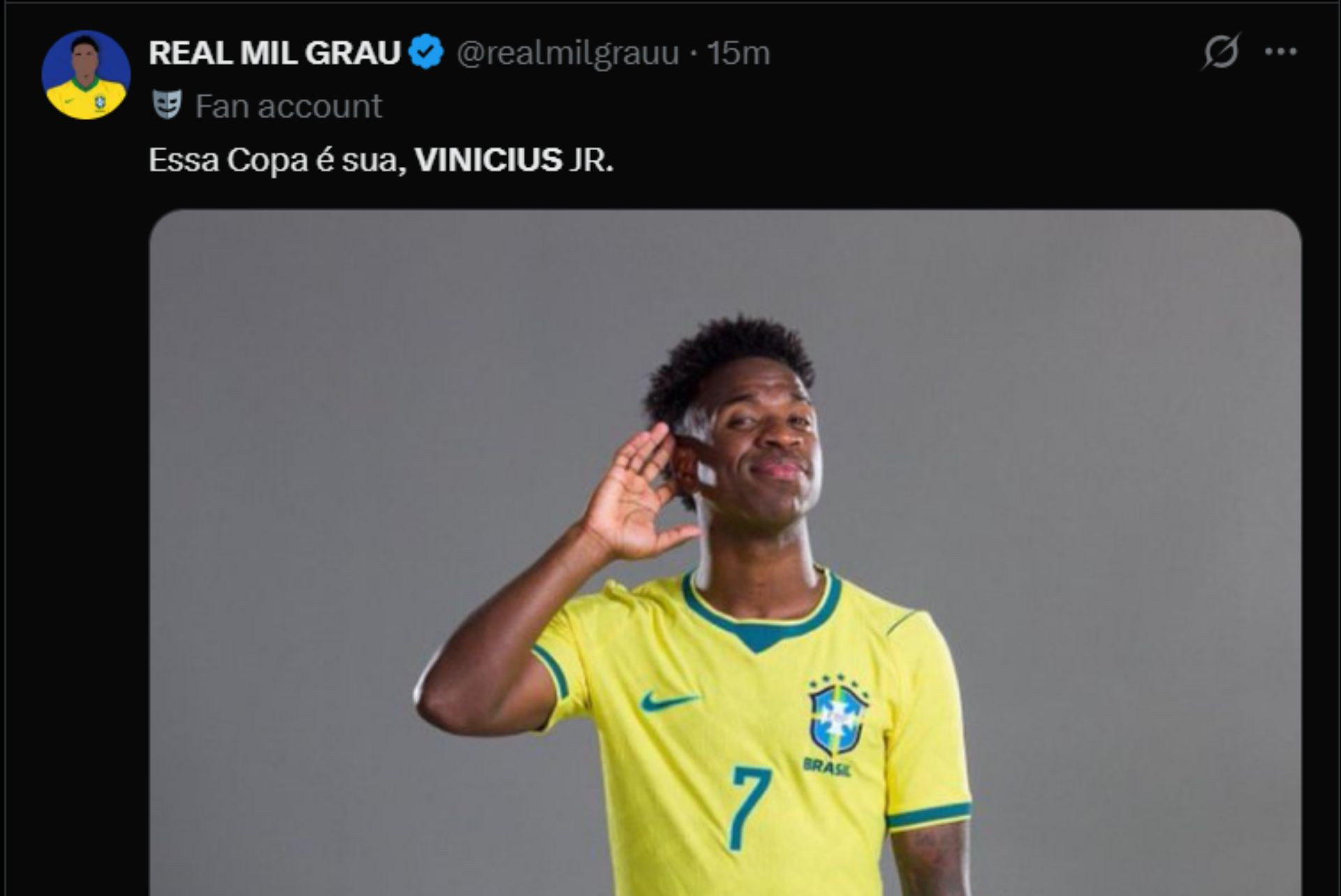 Torcedores se declaram a Vini Jr após gol na estreia - Reprodução / X