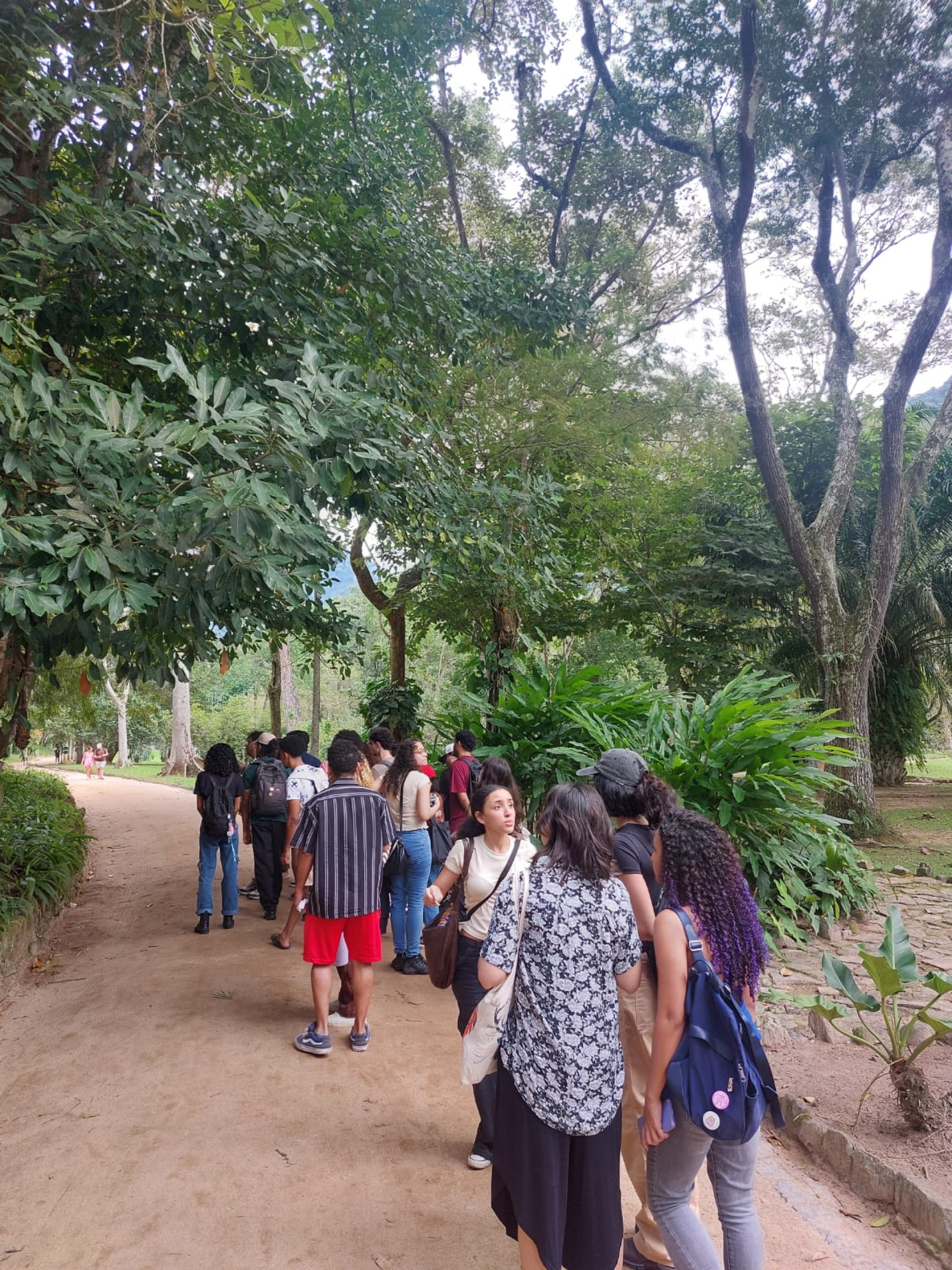 Com entrada gratuita, público lota o Jardim Botânico do Rio neste sábado (13)
 - Divulgação/ Ester Santos