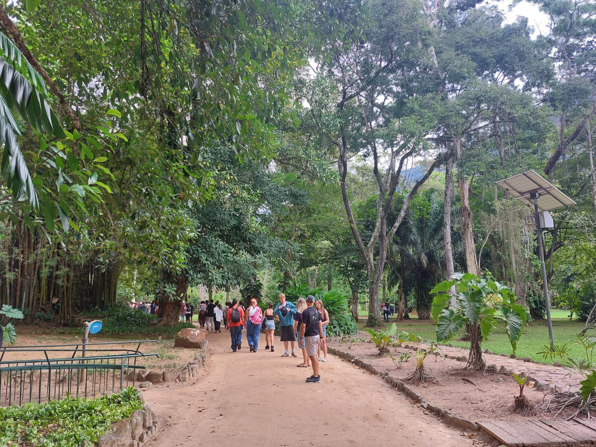Com entrada gratuita, público lota o Jardim Botânico do Rio neste sábado (13)
 - Divulgação/ Ester Santos