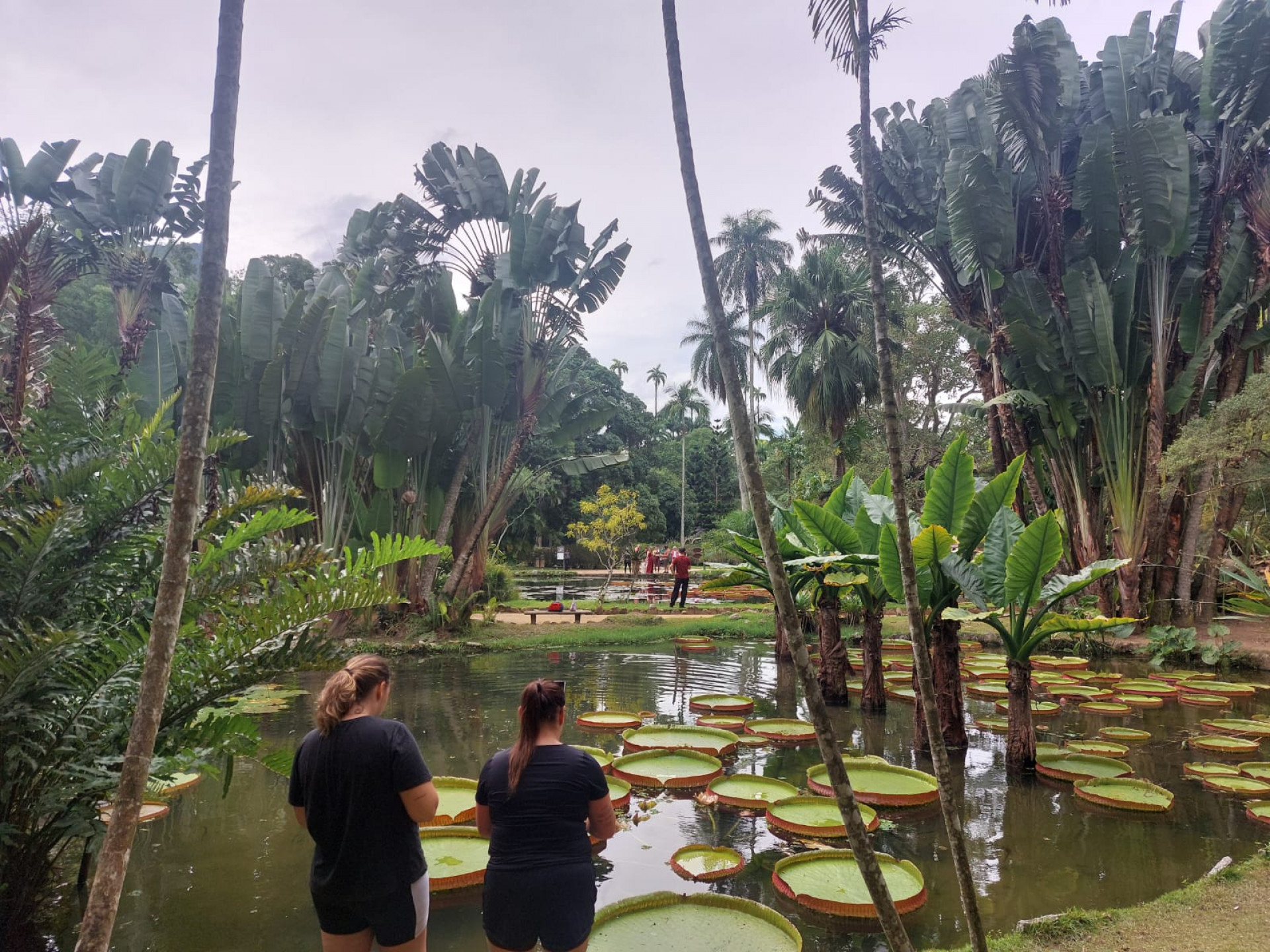 Jardim Botânico no Rio faz parte da memória afetiva de várias gerações - Divulgação/ Ester Santos