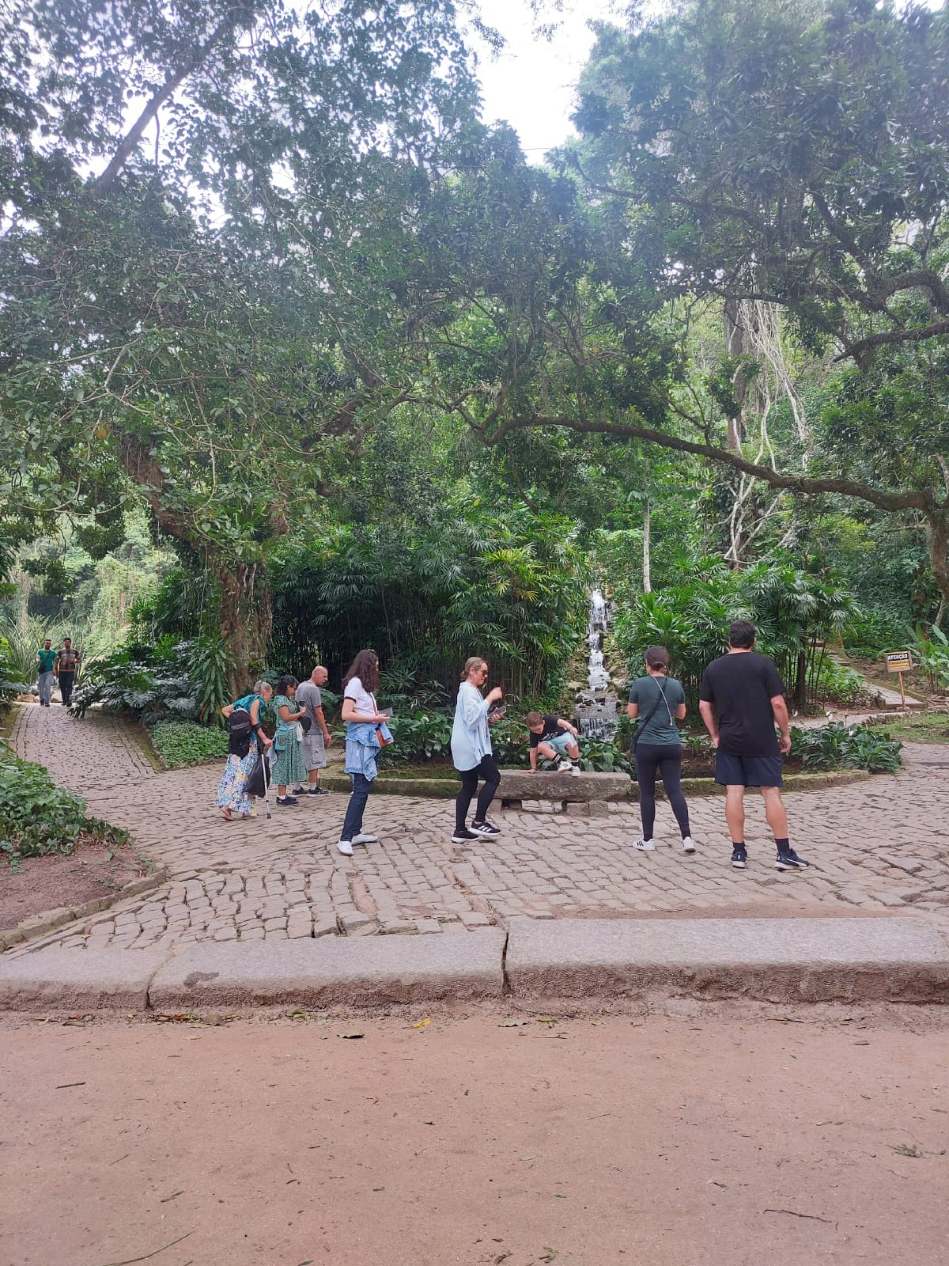 Jardim Botânico do Rio celebra aniversário com entrada gratuita ao público neste sábado (13)
 - Divulgação/ Ester Santos