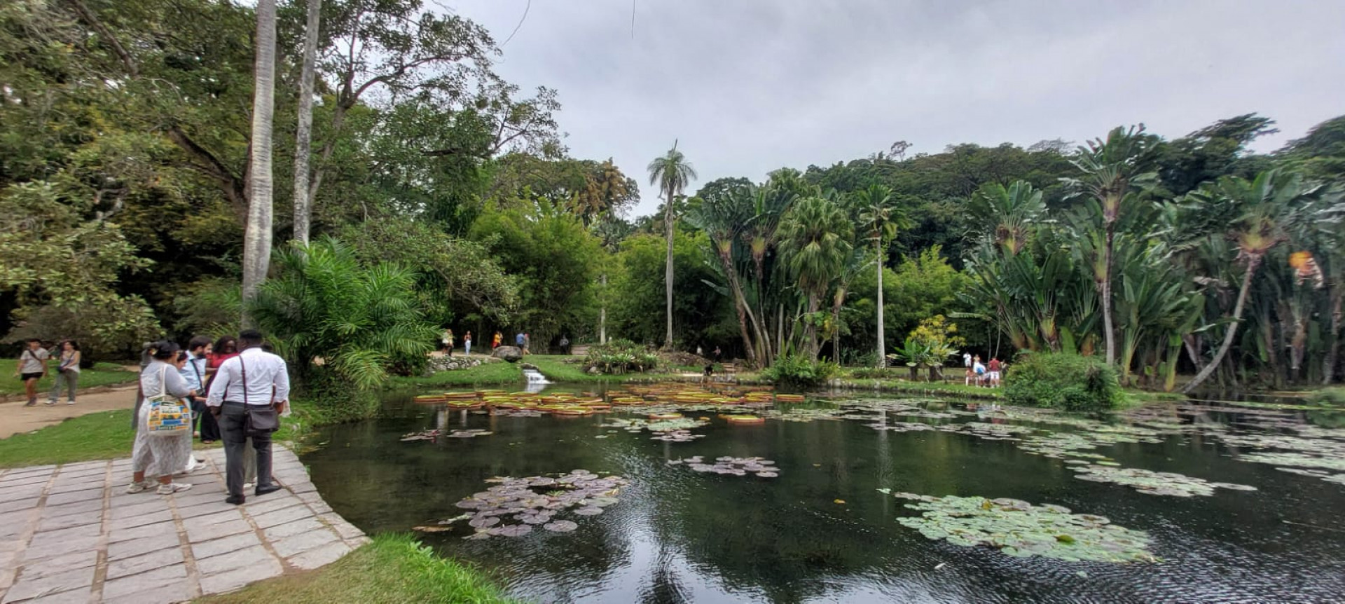Jardim Botânico no Rio faz parte da memória afetiva de várias gerações - Divulgação/ Ester Santos