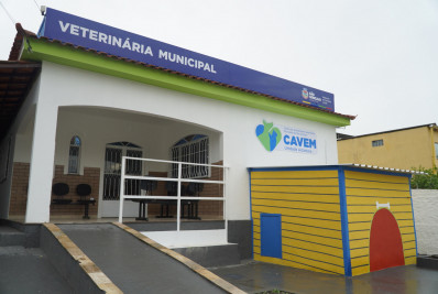 São Gonçalo oferece mais de mil vagas para castração de cães e gatos este mês