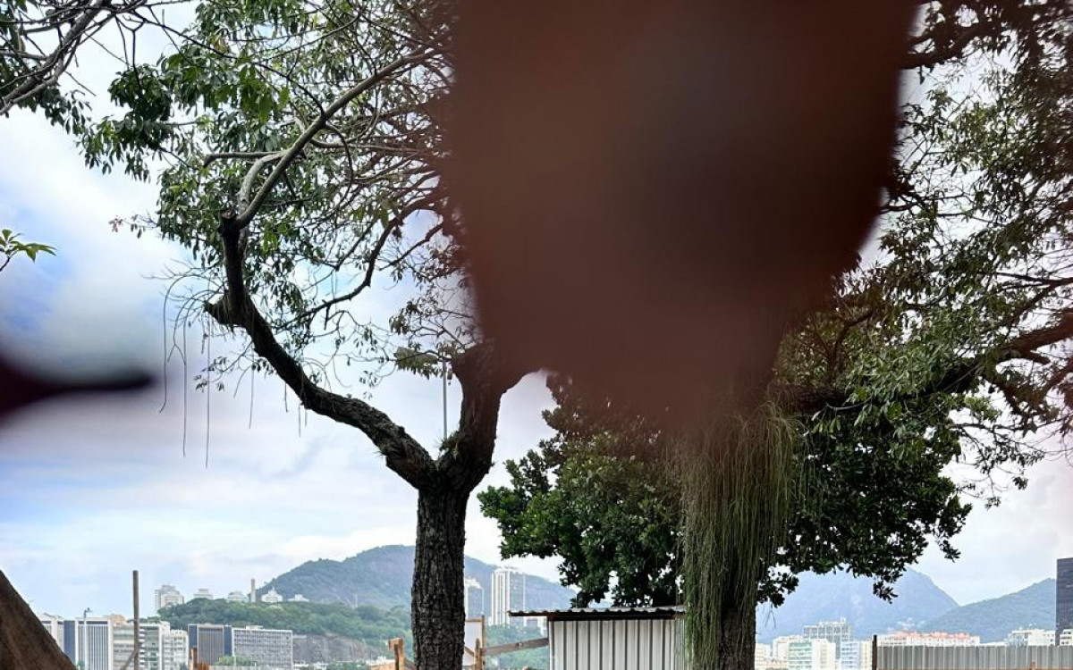 Obra no Aterro do Flamengo gerou revolta entre moradores - Luiz Neves / Arquivo pessoal