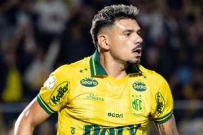 Ex-atacante do Botafogo, Tiquinho Soares será emprestado para clube da Série B