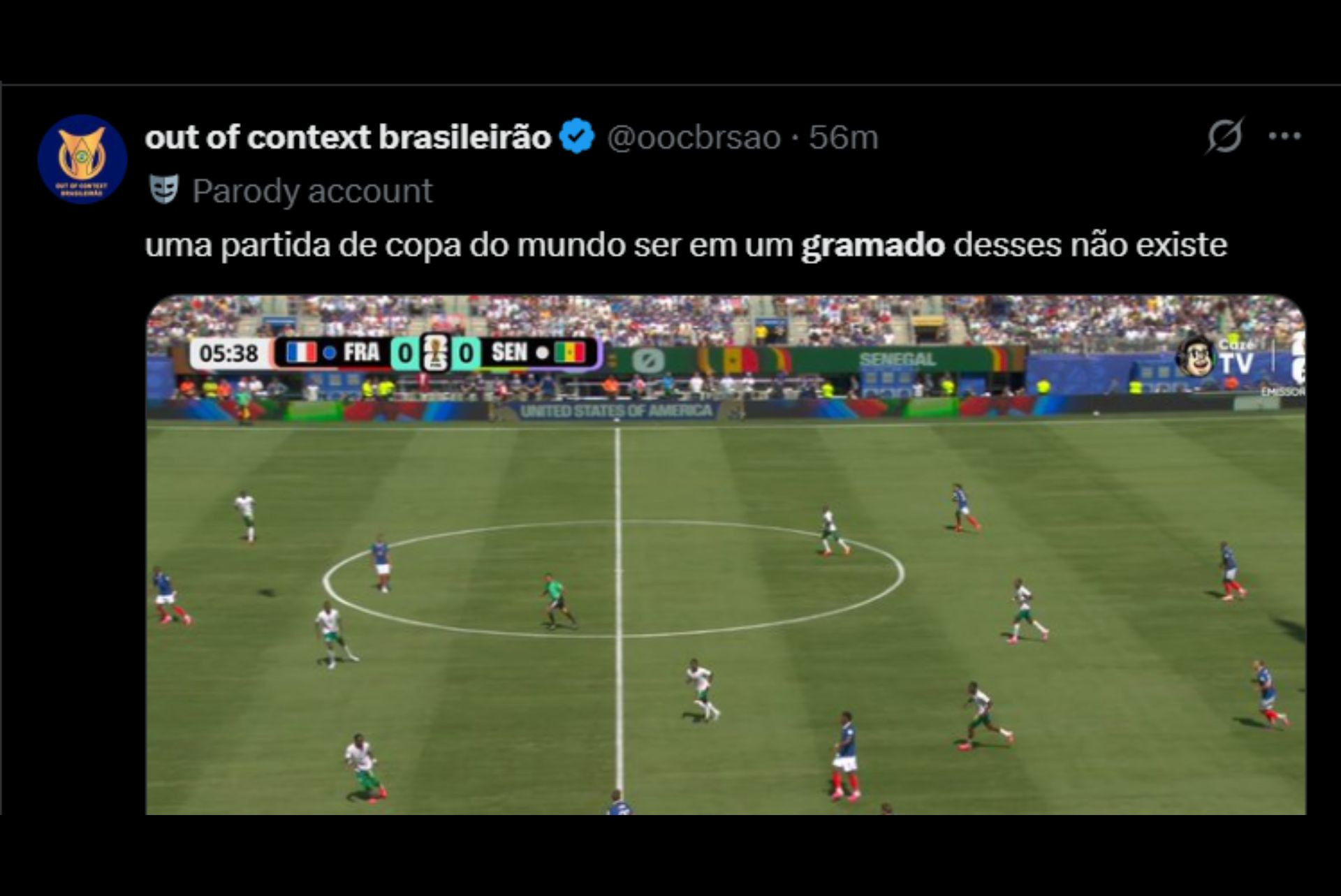 Gramado do MetLife Stadium gera críticas na web - Reprodução / X