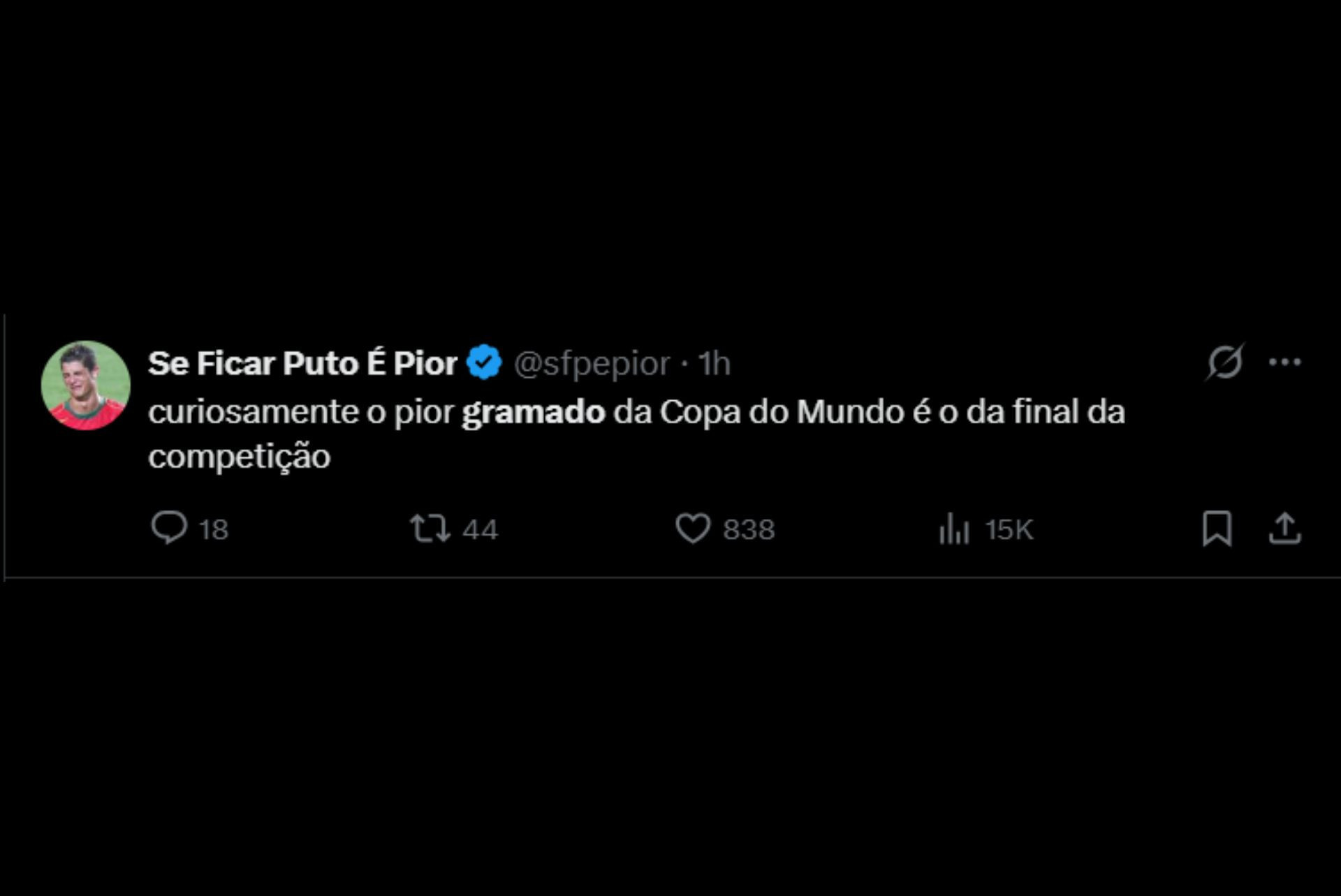 Gramado do MetLife Stadium gera críticas na web - Reprodução / X