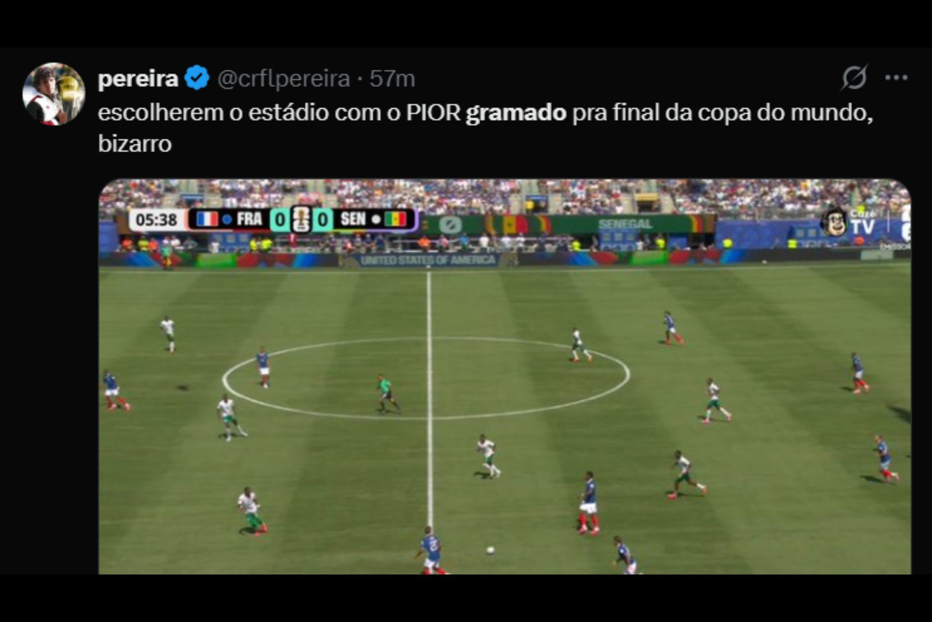 Gramado do MetLife Stadium gera críticas na web - Reprodução / X