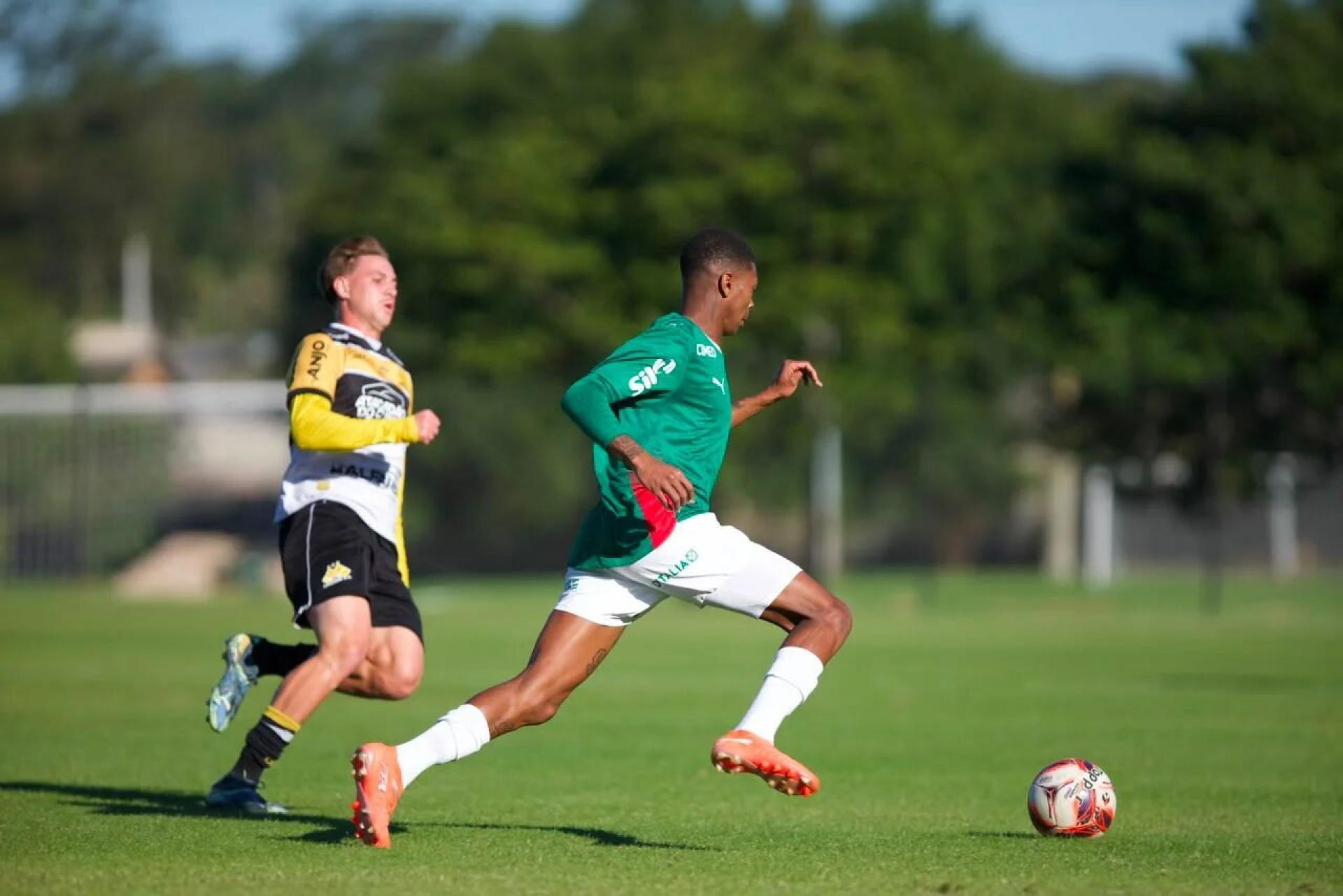Palmeiras massacra o Crici&uacute;ma e segue l&iacute;der do Brasileiro Sub-20
