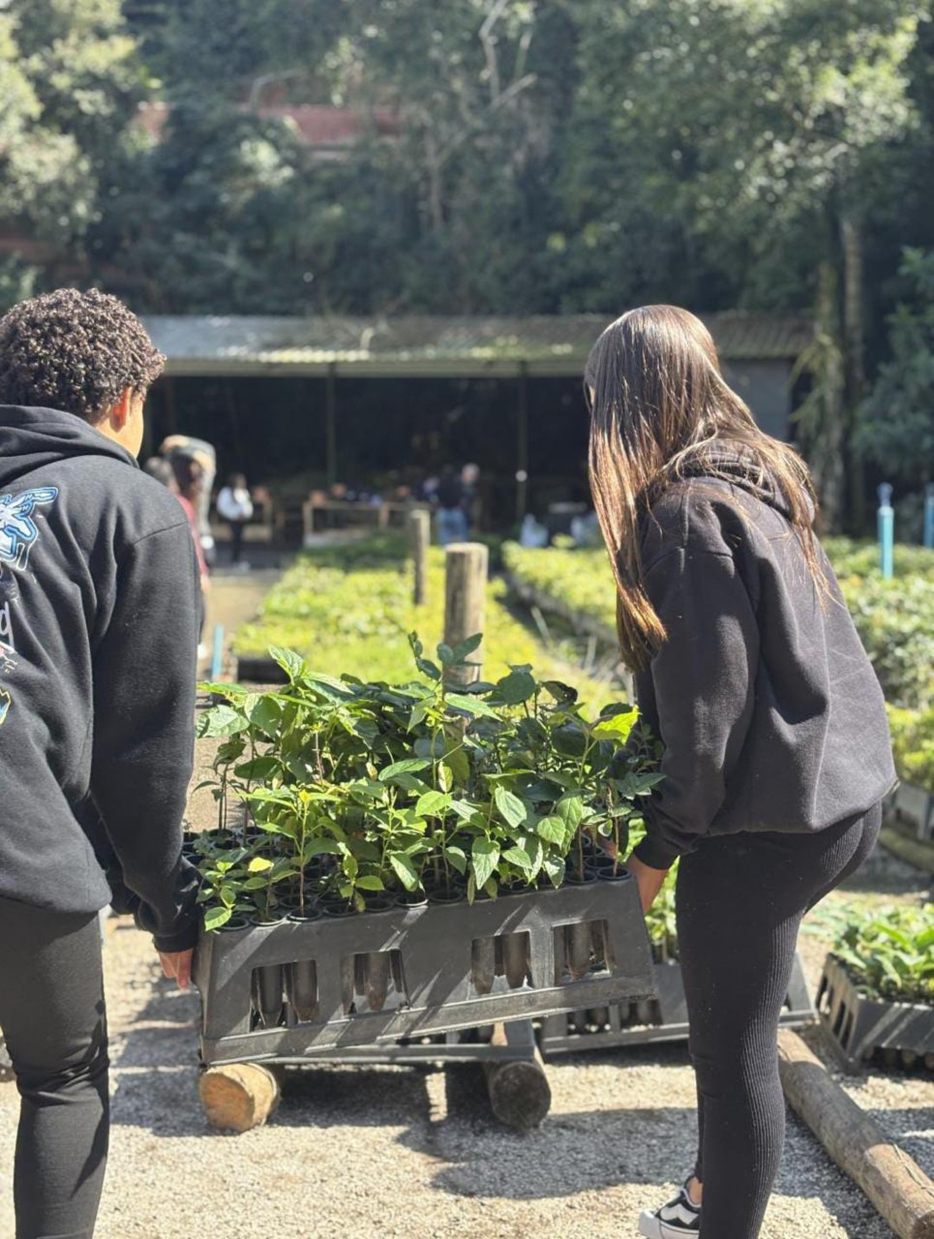Circuito de educação ambiental