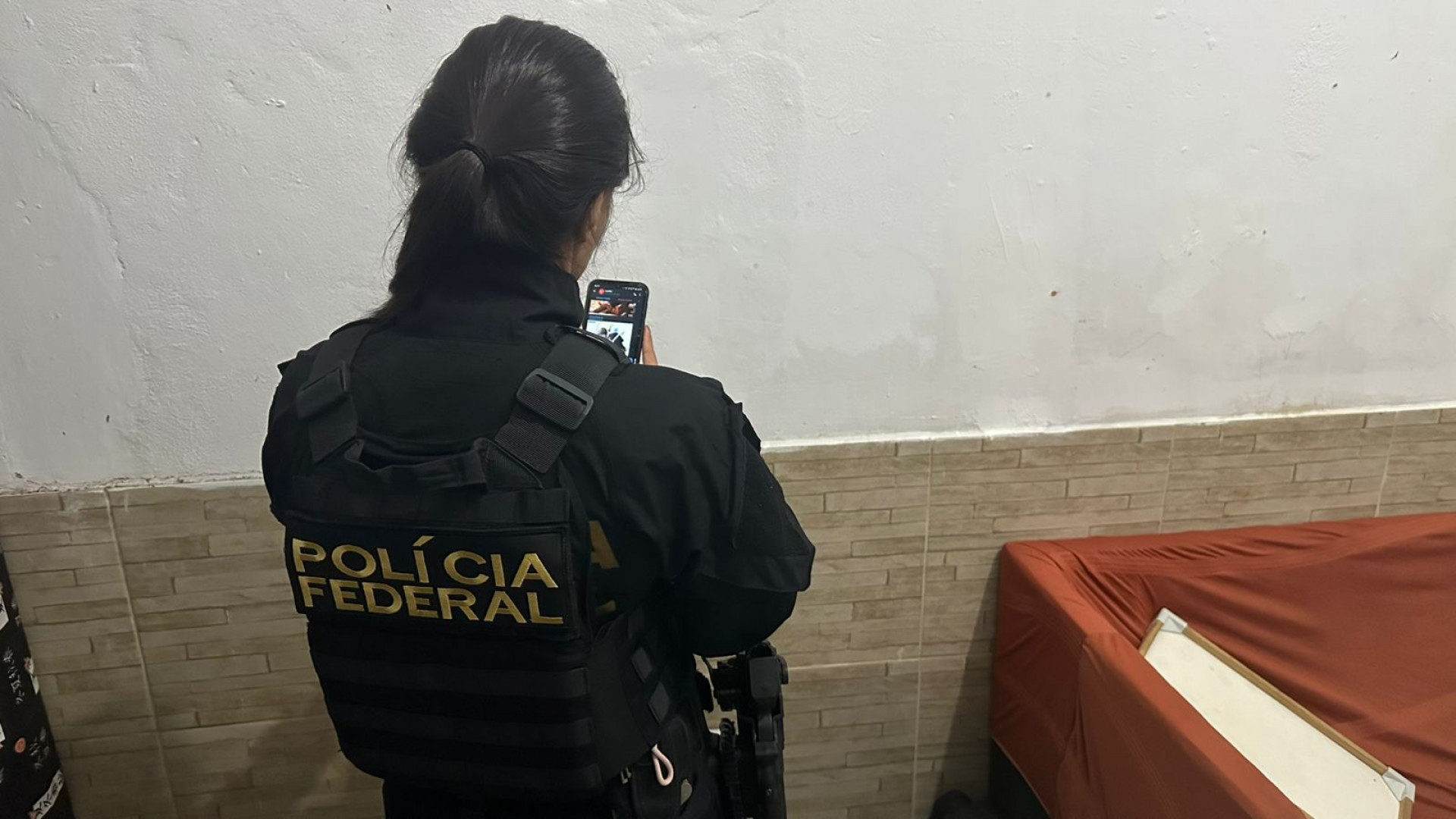 Operação da PF contra pornografia infantil prendeu um homem em flagrante - Divulgação / PF