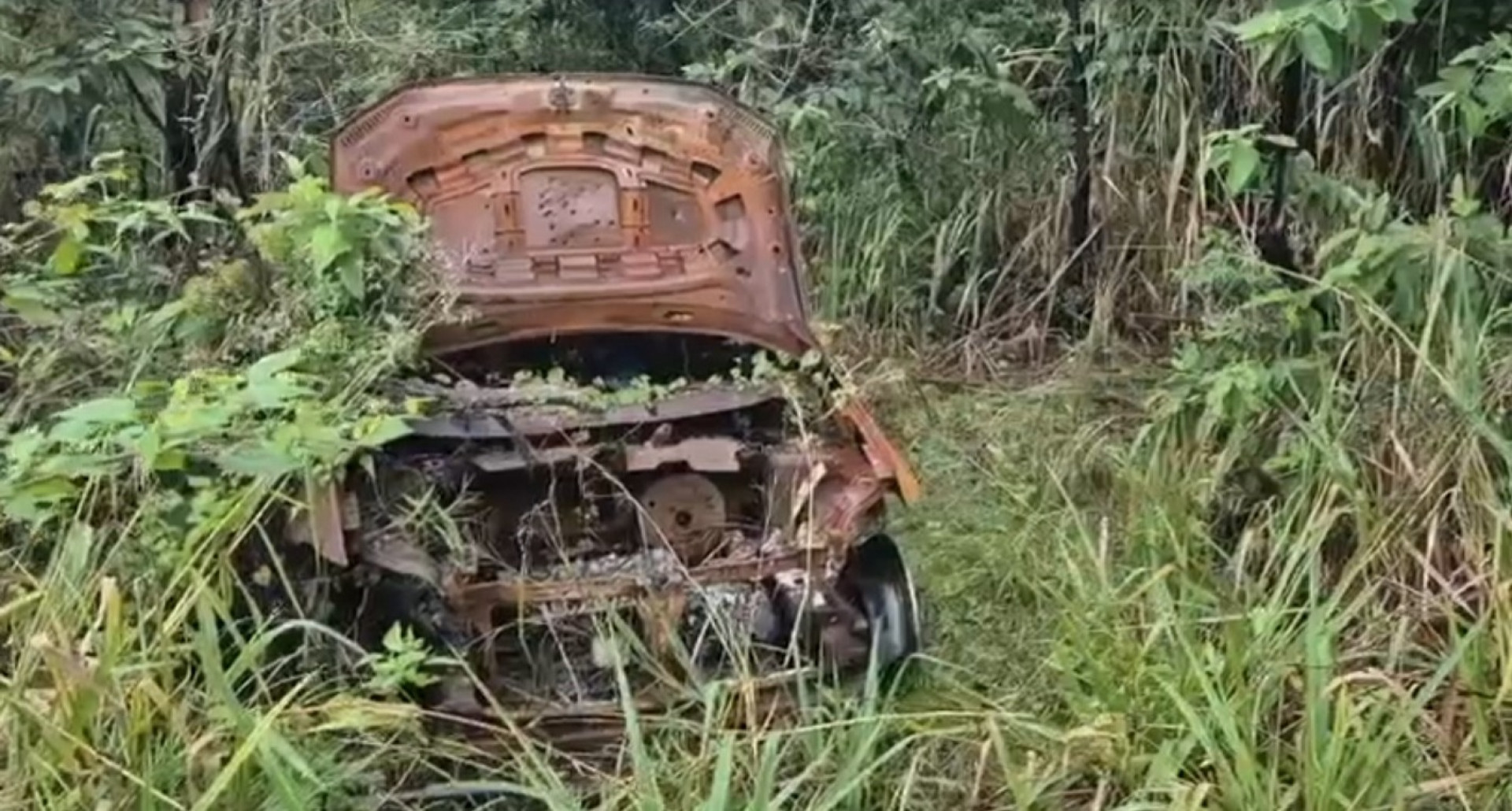 Polícia Civil localiza cemitério clandestino do tráfico em Rio das Pedras, nesta quarta-feira (17) - Divulgação/Polícia Civill