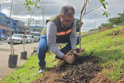 Novos corredores verdes vão transformar espaços urbanos de Rio das Ostras