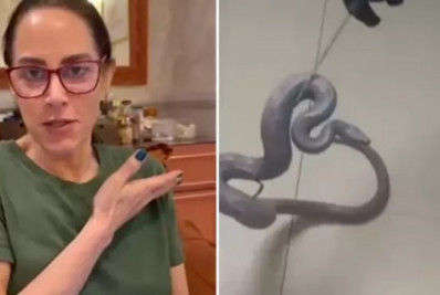 Cobra de estimação de Silvia Abravanel reaparece em ralo após cinco meses desaparecida