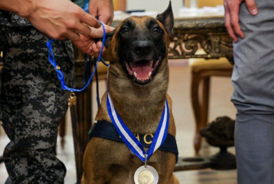 Cão que encontrou bunker com drogas recebe Medalha Tiradentes