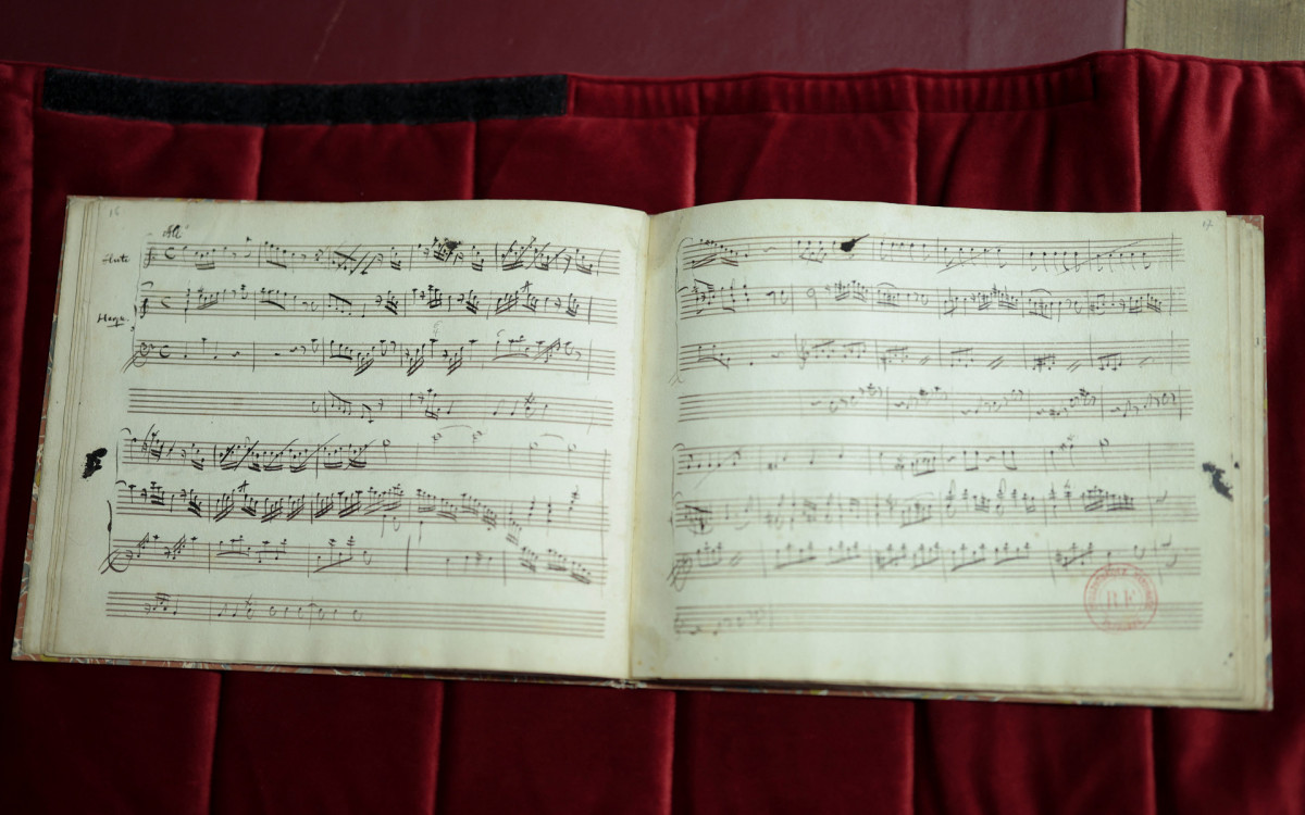 Caderno contém uma dúzia de \'lições de composição\' do músico austríaco