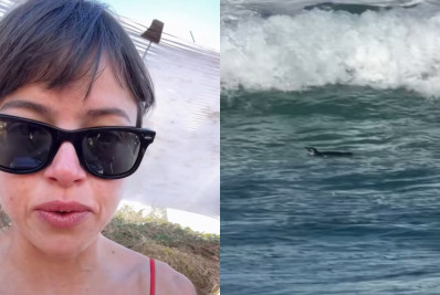 Agatha Moreira encontra pinguim em praia do Rio
