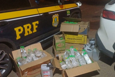PRF apreende mais de 1.200 frascos de lança-perfume em Campos, na BR-101
