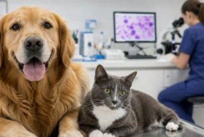 Inteligência artificial amplia precisão e agilidade no diagnóstico veterinário