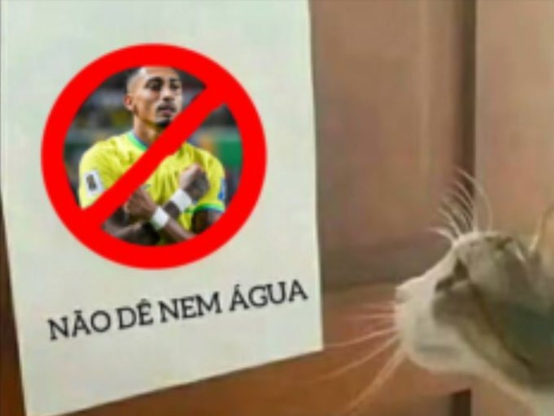 Memes da vitória do Brasil sobre o Haiti na Copa do Mundo - Reprodução