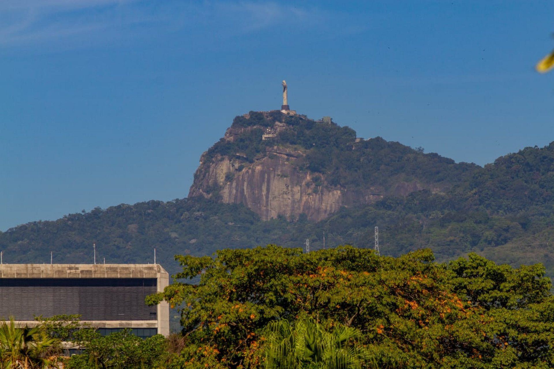 Manhã de sábado foi ensolarada e fria na Quinta da Boa Vista - Érica Martin / Agência O Dia