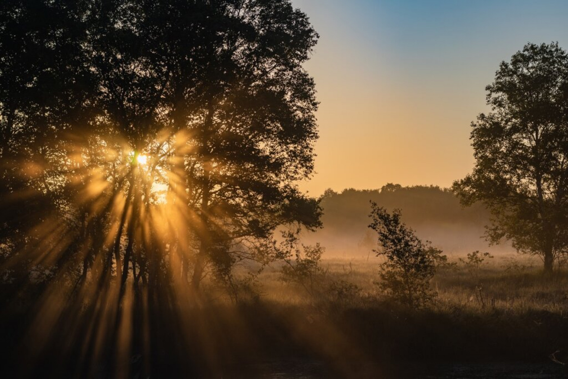 Tudo sobre o Solst&iacute;cio de Inverno