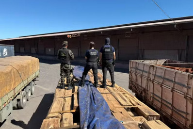 Apreensão de cocaína em cargas de madeira pode ser a maior da história do País, diz Receita