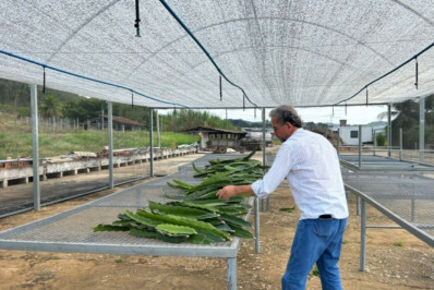 Unidade da Emater em Italva reforçada como referência na extensão rural