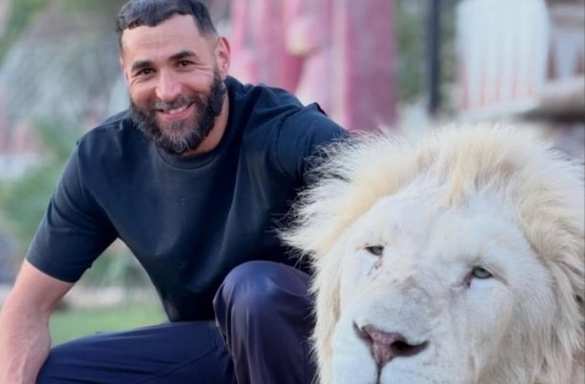 Benzema vira alvo de pol&ecirc;mica ap&oacute;s fotos com animais selvagens nas redes sociais