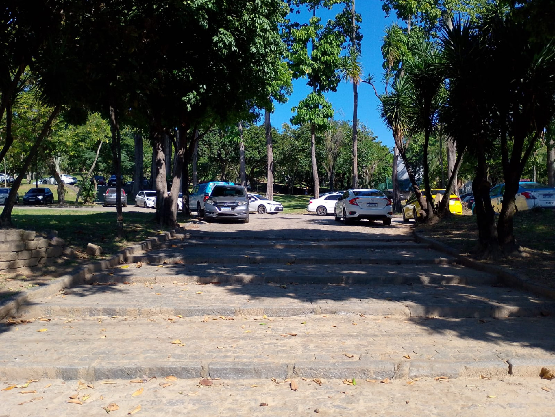 Carros estacionados ocupam espa&ccedil;o no Parque Ary Barroso - Reginaldo Pimenta / Ag&ecirc;ncia O Dia
