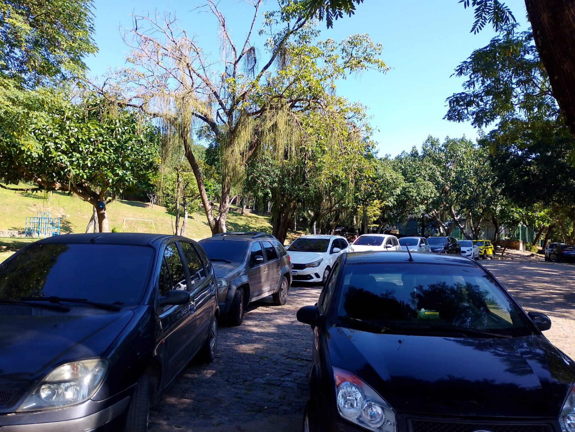 Carros estacionados ocupam espa&ccedil;o no Parque Ary Barroso - Reginaldo Pimenta / Ag&ecirc;ncia O Dia