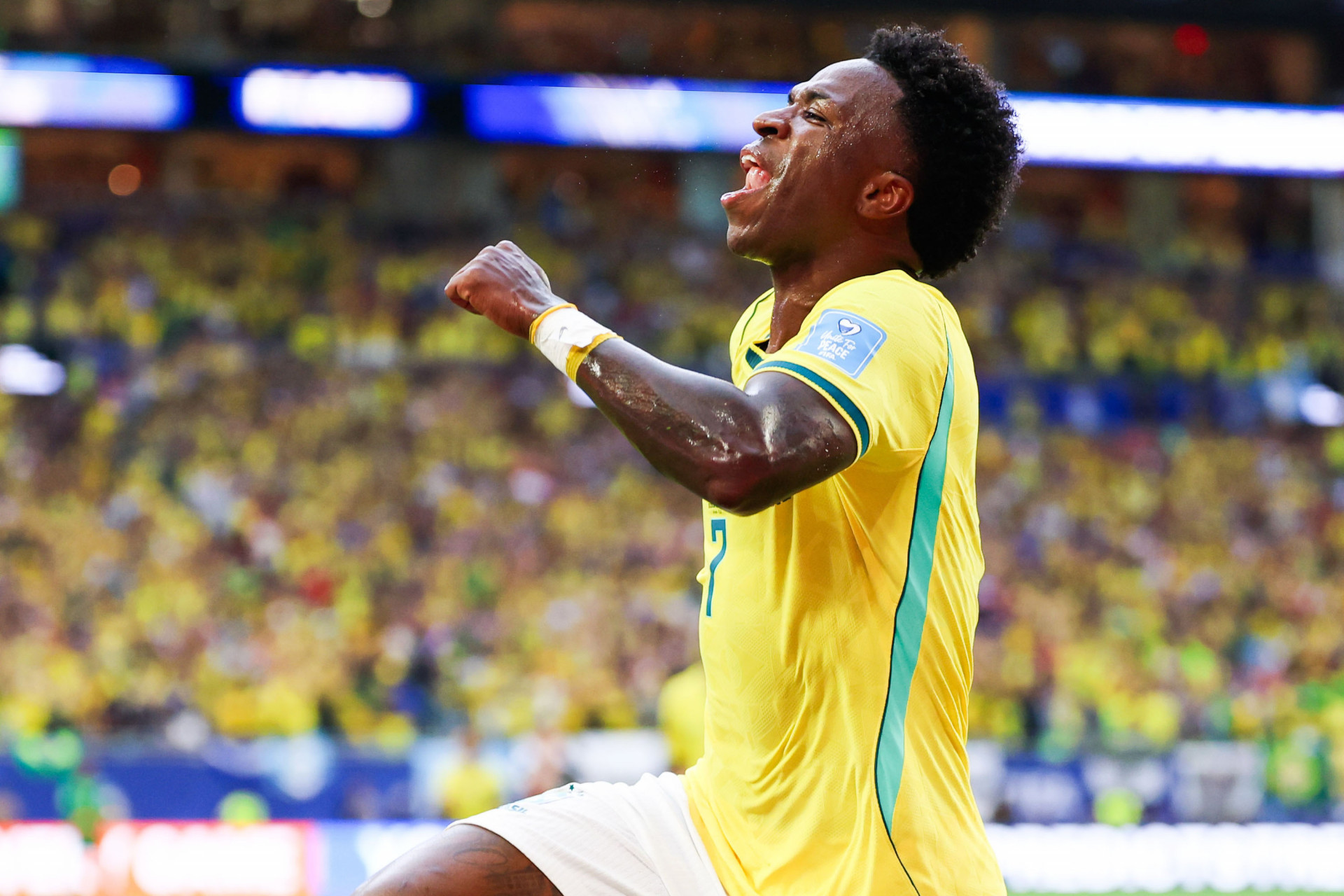 Vini Jr comemora o gol do Brasil sobre a Esc&oacute;cia na Copa do Mundo - William Volcov/Parceiro/Ag&ecirc;ncia O Dia