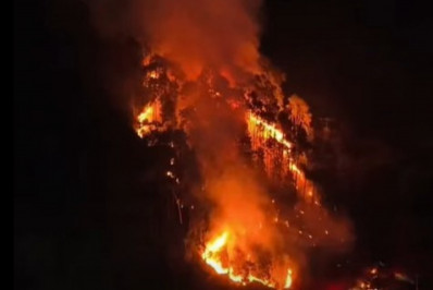 Incêndio de grande proporção destrói carros alegóricos e devasta vegetação em Nova Friburgo