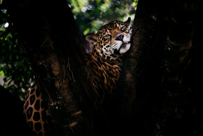 Prefeitura de Volta Redonda e Sesc promovem 2ª edição das visitas noturnas ao Zoológico Municipal