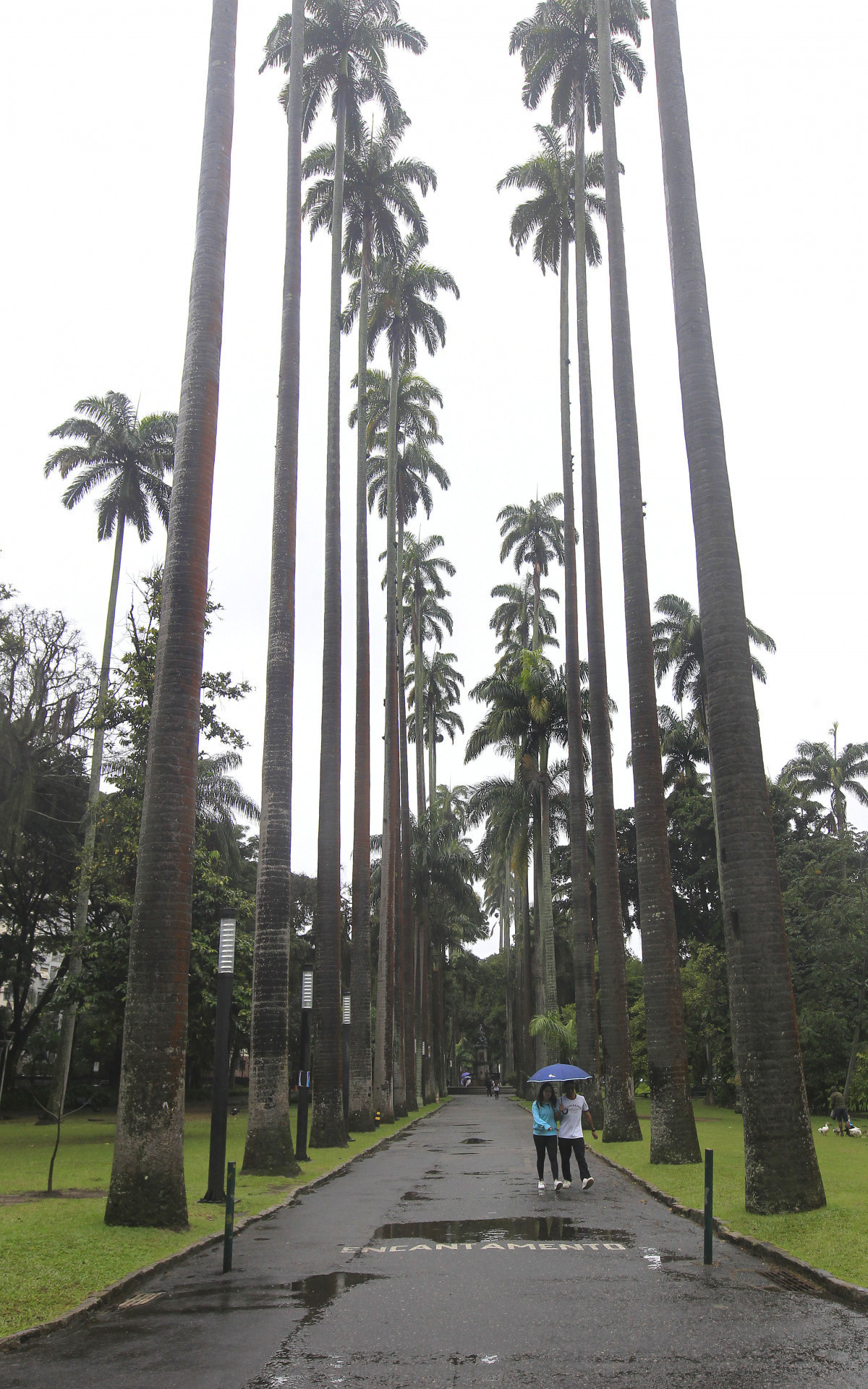Movimentação na Rua do Catete e nos Jardins do Palácio do Catete, Zona Sul do Rio de Janeiro, na manhã de hoje. - Reginaldo Pimenta/Agência O Dia
