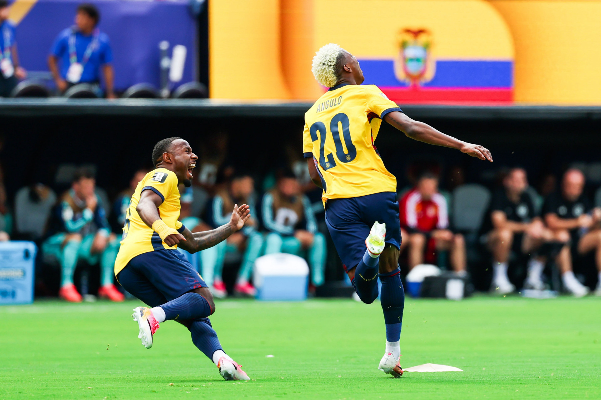 Equador e Alemanha se enfrentaram pela 3&ordf; rodada da fase de grupos da Copa do Mundo - William Volcov/Parceiro/Ag&ecirc;ncia O Dia