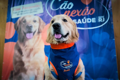 Cães treinados levam acolhimento e humanização à rede estadual de saúde