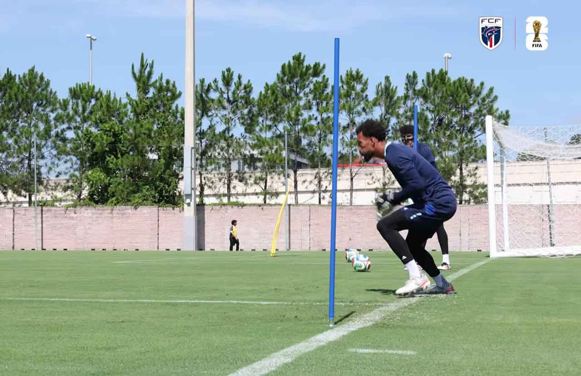 Animal! Her&oacute;i de Cabo Verde, Vozinha vai dar nome a nova esp&eacute;cie marinha
