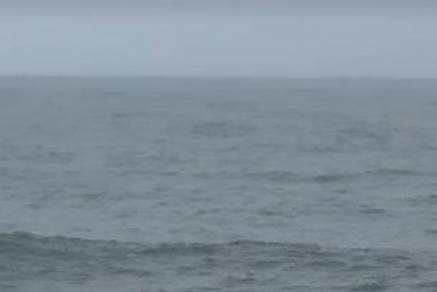 Bombeiros buscam por professor de surfe desaparecido no mar de São Conrado