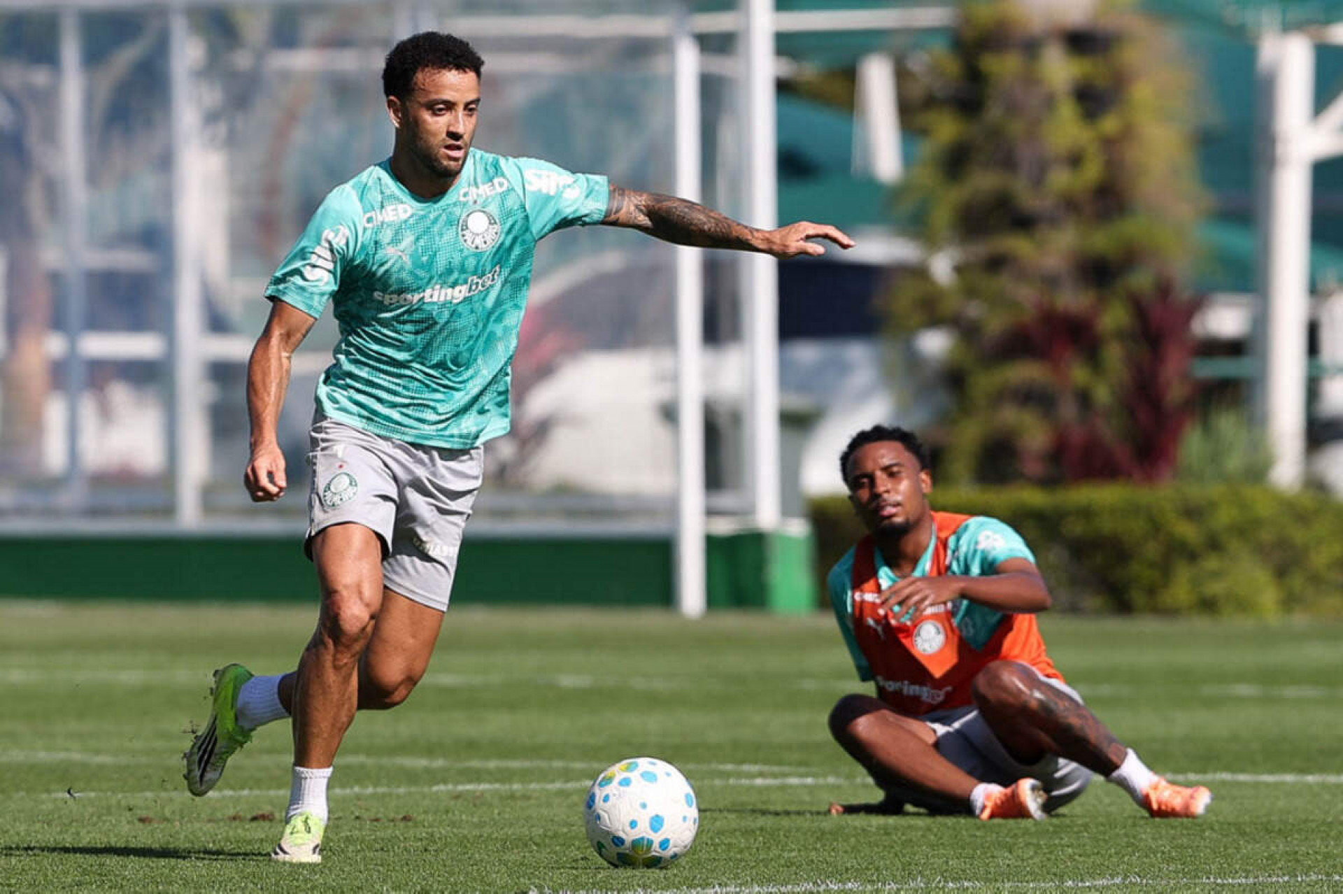 Jogadores do Palmeiras fazem coletivo no CT; Vitor Roque segue cronograma