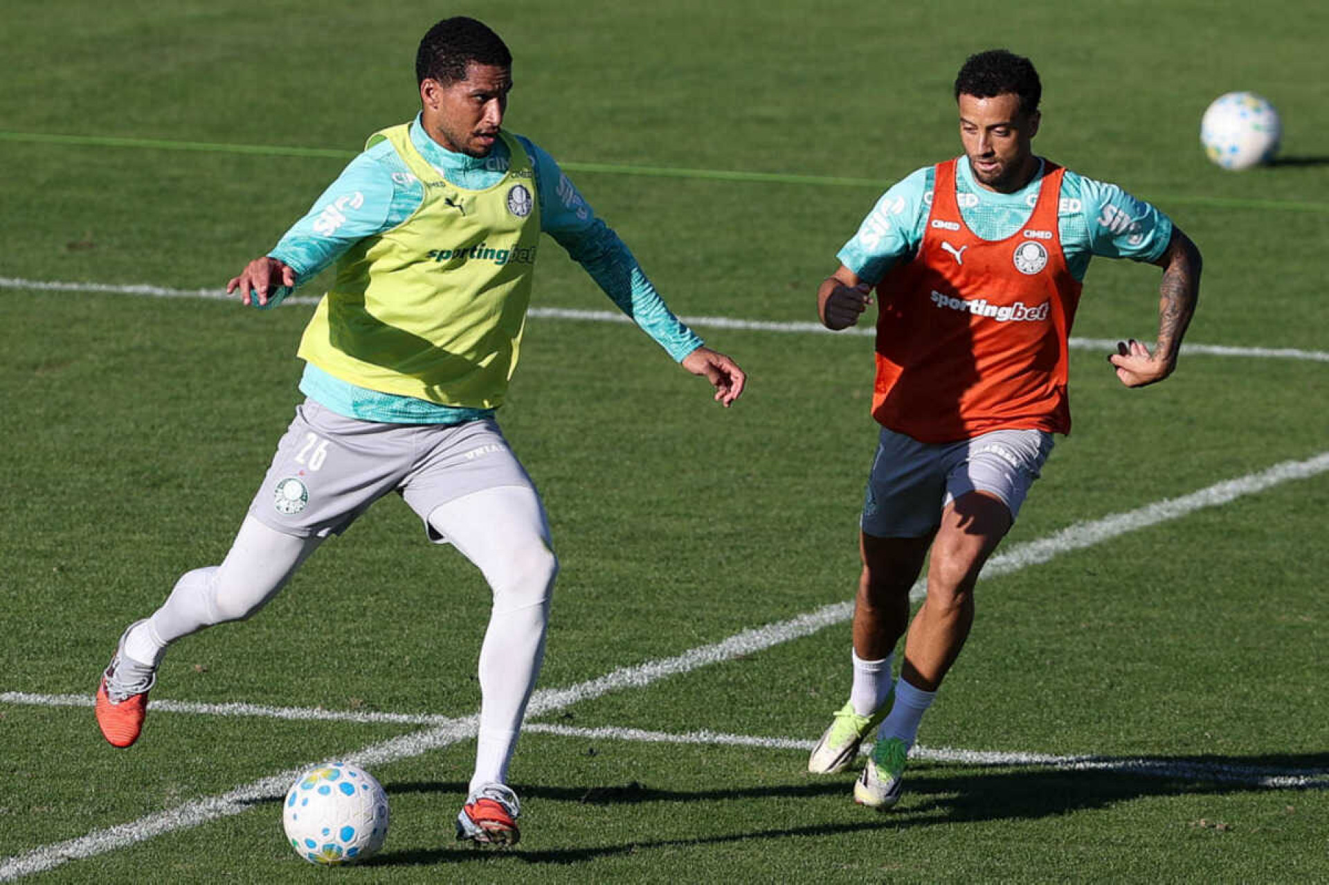 Palmeiras confirma mais um jogo-treino e trabalha em dois per&iacute;odos