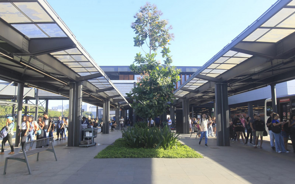 Terceiro dia da greve dos rodoviários registra longas filas no Terminal Gentileza - Reginaldo Pimenta/Agência O DIA