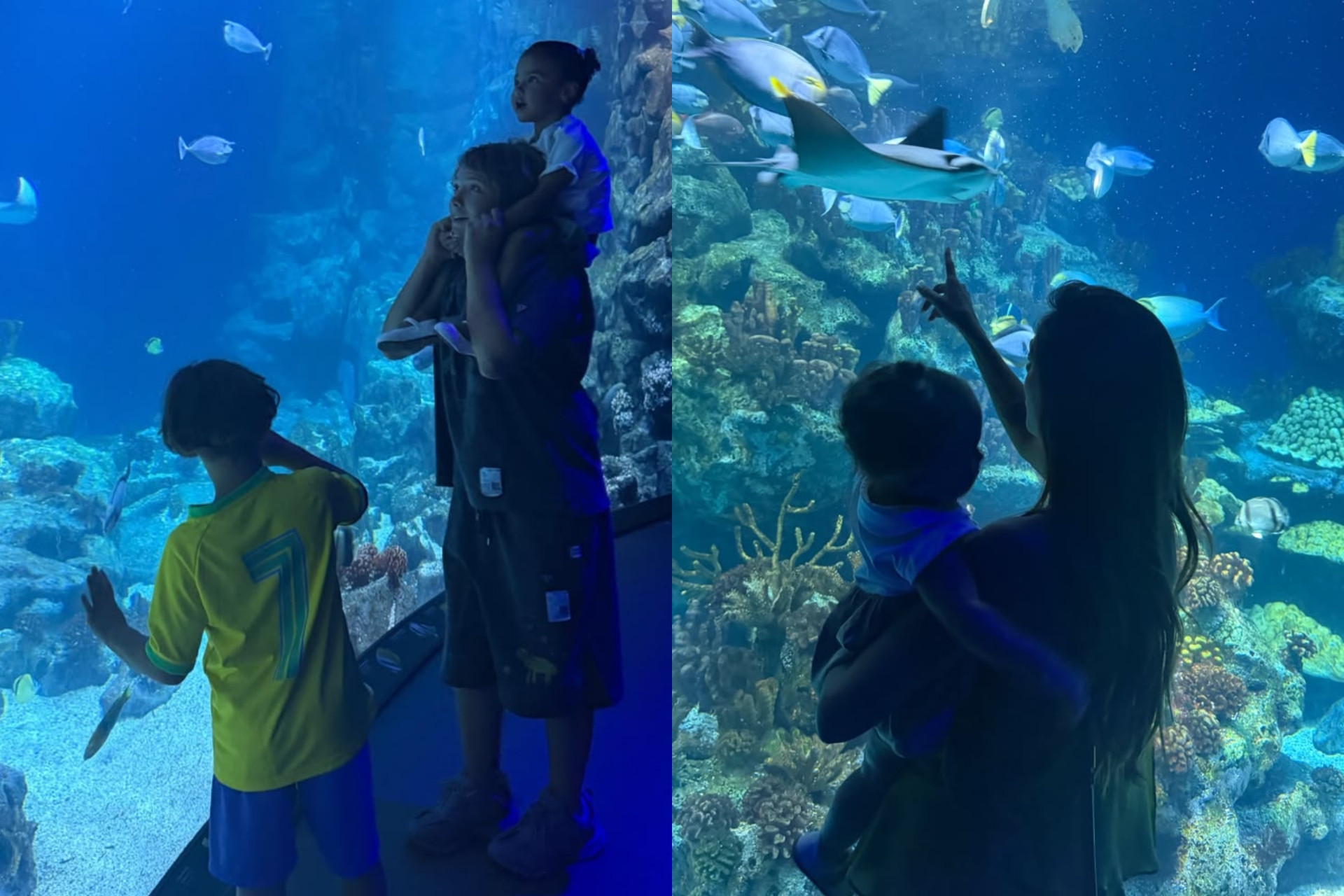 Bruna Biancardi compartilha passeio em aquário com as filhas e Davi Lucca - Reprodução / Instagram