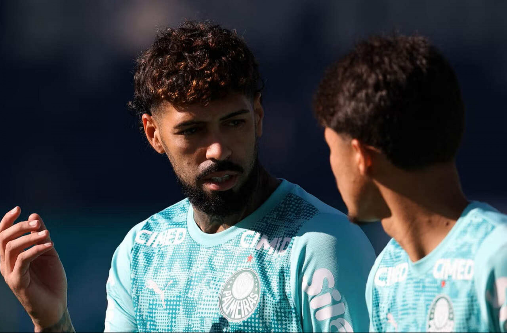 STJD libera Barboza para estreia no Palmeiras e mant&eacute;m suspens&atilde;o de Allan
