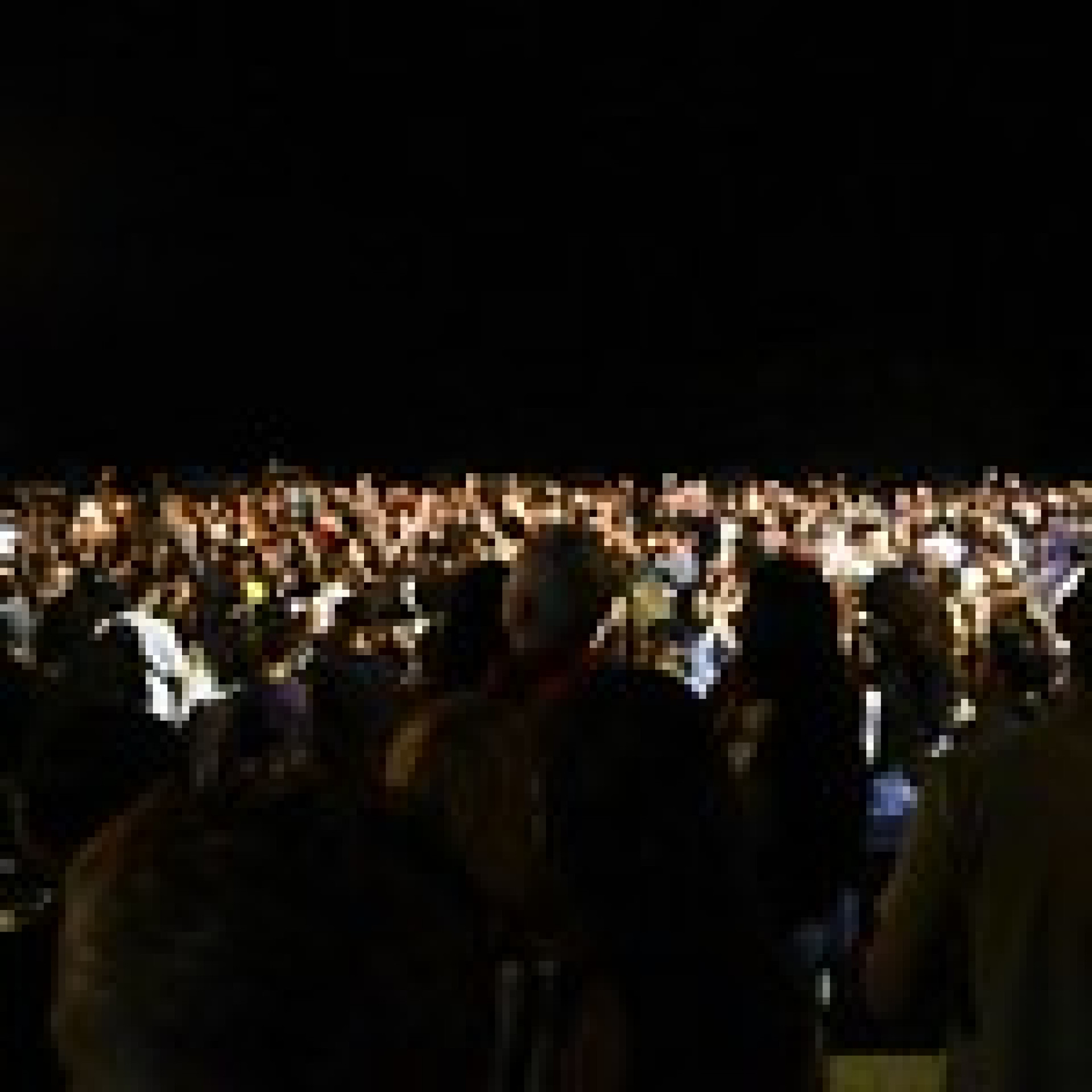 Multid&atilde;o prestigia o Festival de M&uacute;sica e Ecologia da Ilha Grande - Divulga&ccedil;&atilde;o/PMAR
