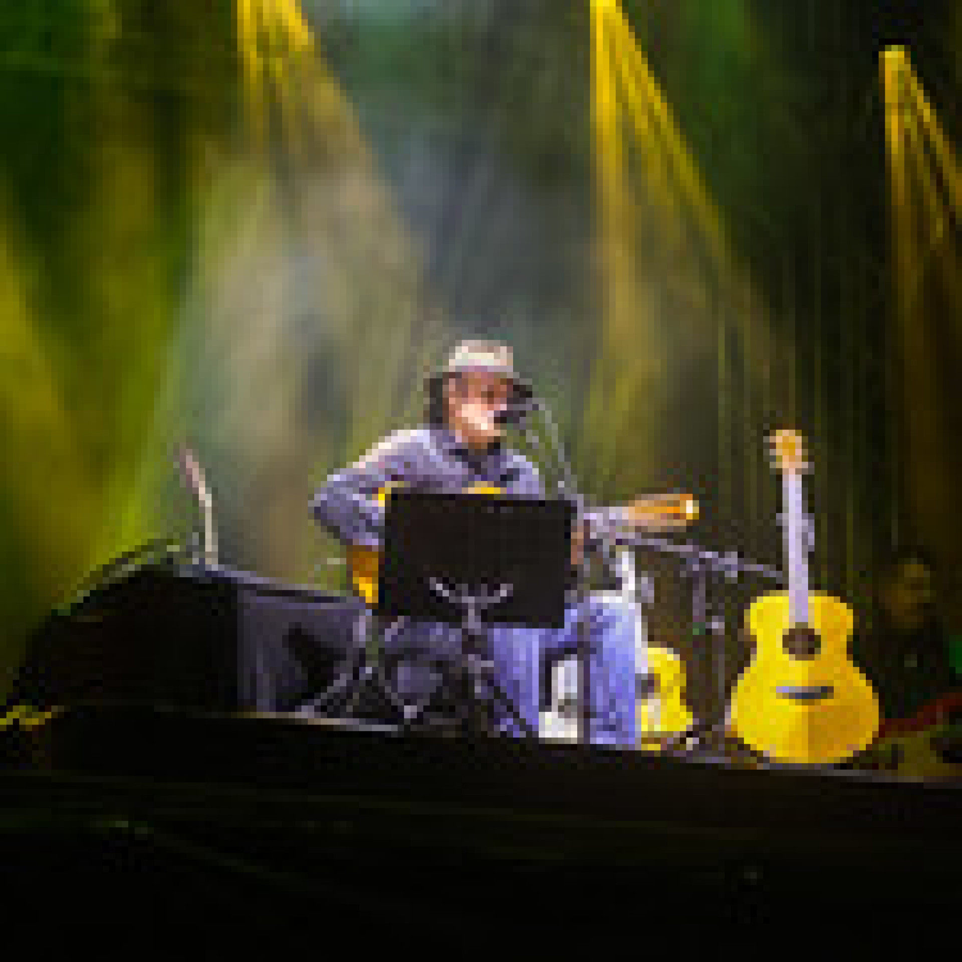 Almir Sater